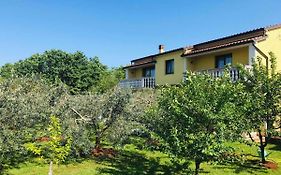 Apartmani Ulika